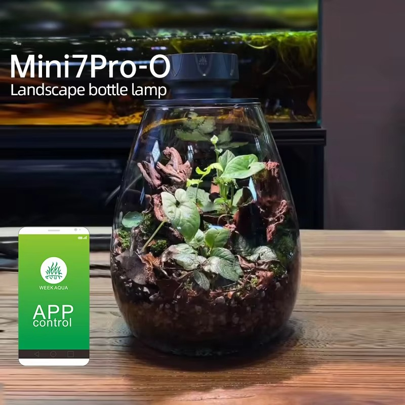 Aquarium Plants - Lumière de remplissage de plantes micropaysage