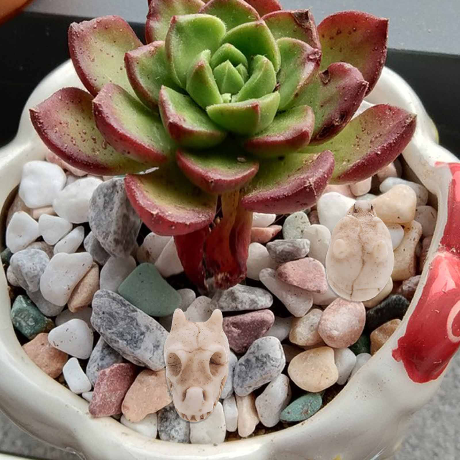 Aquarium Decor - 20 pièces, mini décorations de jardin