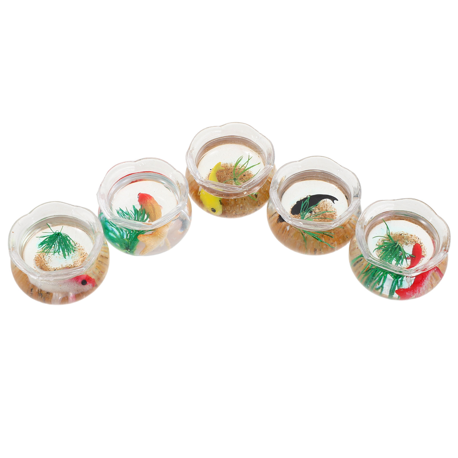 Aquarium Plants - 5 aquariums miniatures pour poissons Koi