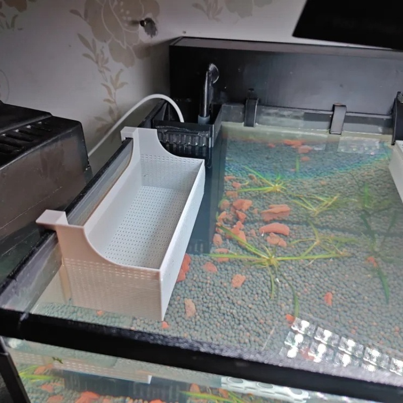 1 boîte d'isolation pour l'éle - Betta Fish Tank avis et prix