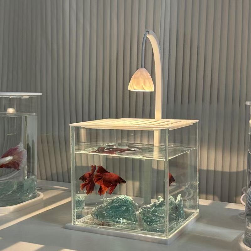 Aquarium en acrylique, paysage - Aquarium Fish Betta avis et prix