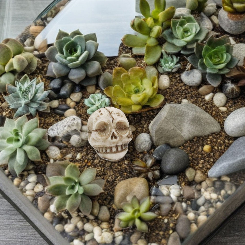 20 pièces, décorations de crân - Aquarium Decor avis et prix