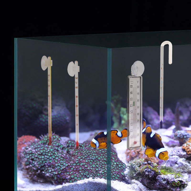 Thermomètre numérique pour aqu - Fish Tank Heater avis et prix