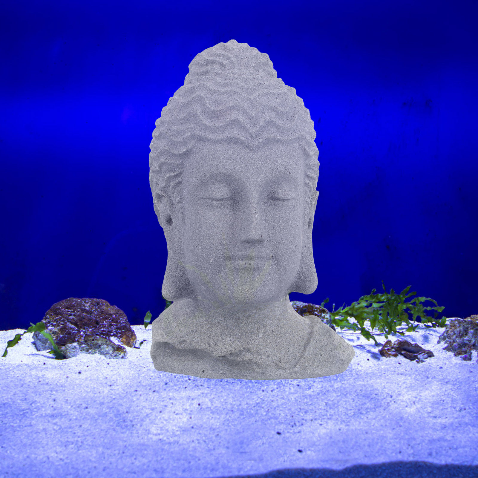 Statue de tête de Bouddha en m - Fish Aquarium Home avis et prix