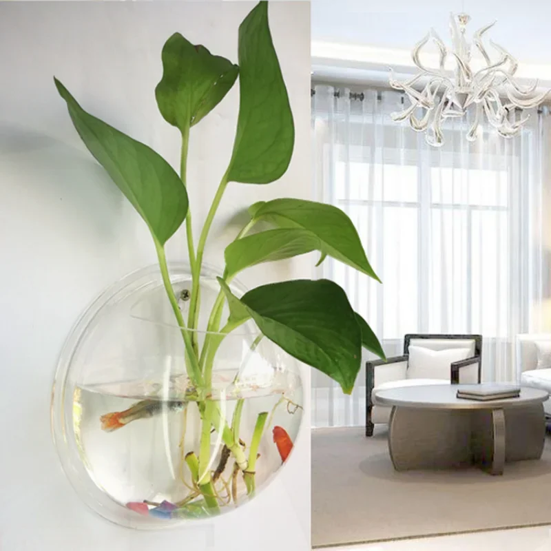 Aquarium mural en acrylique Pi - Betta Fish Tank avis et prix