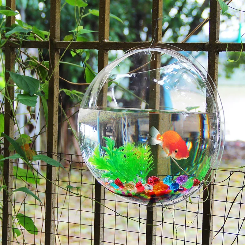 Aquarium mural en acrylique Pi - Betta Fish Tank avis et prix