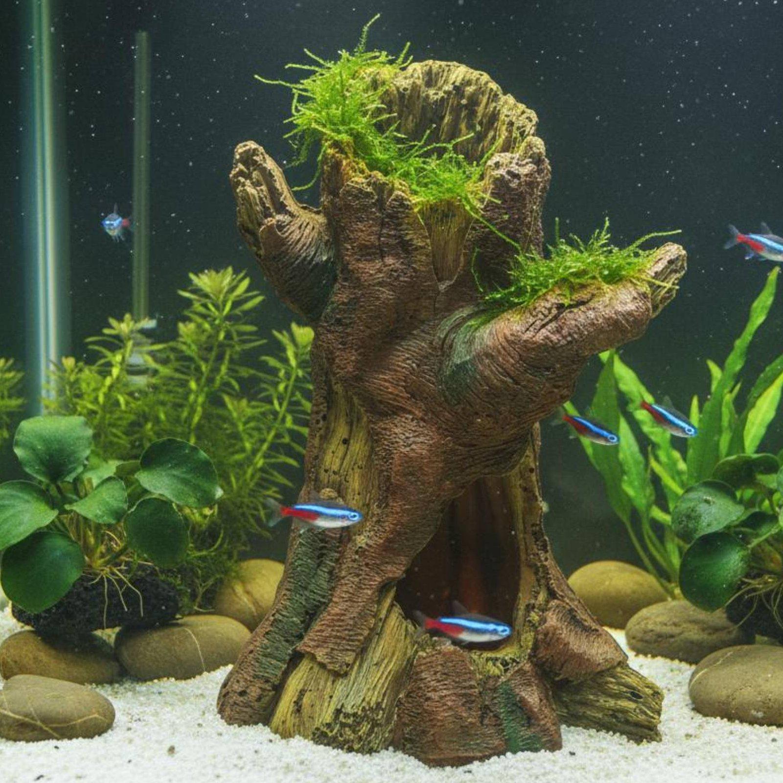 Décoration d'aquarium, décorat - Aquarium Decor avis et prix
