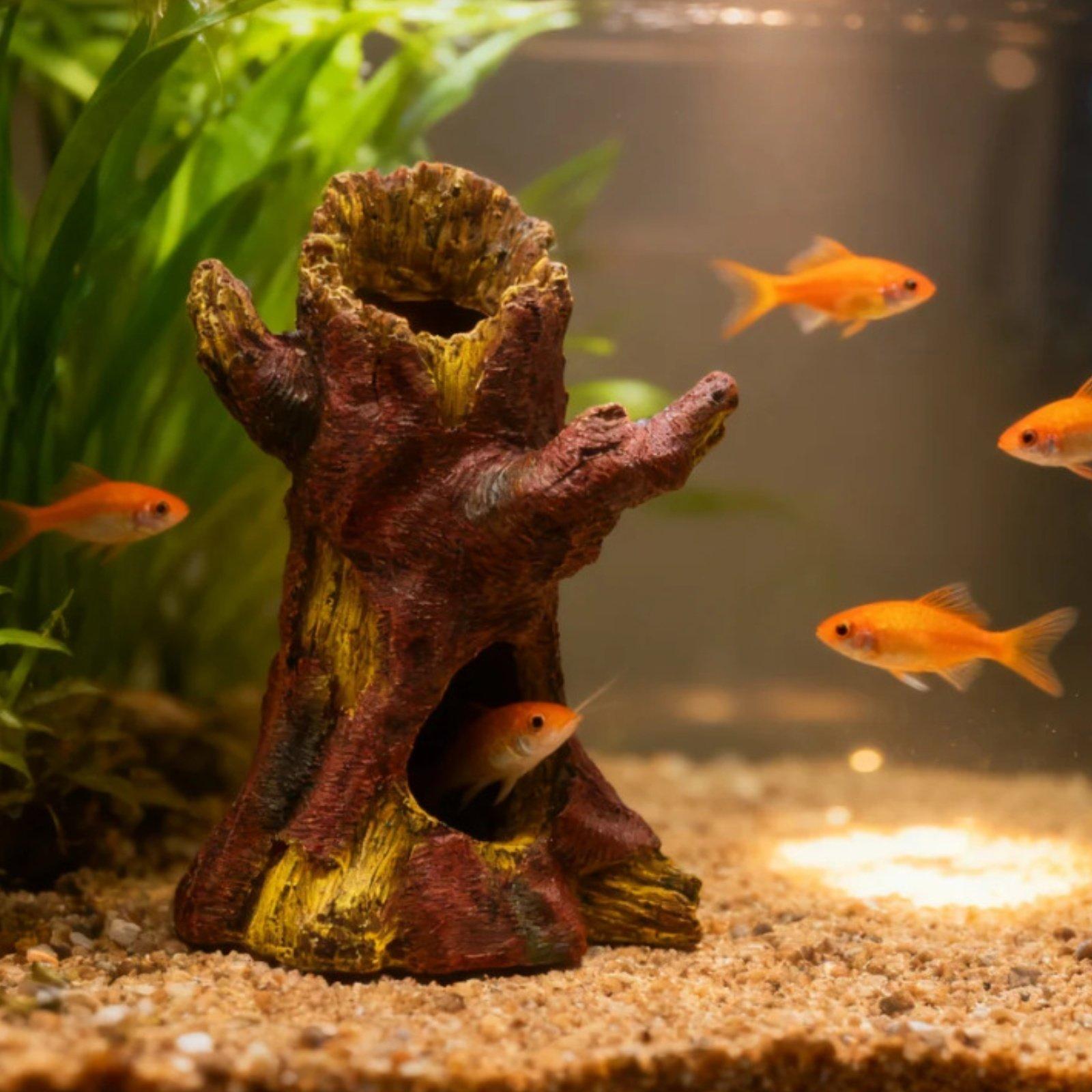 Décoration d'aquarium, décorat - Aquarium Decor avis et prix