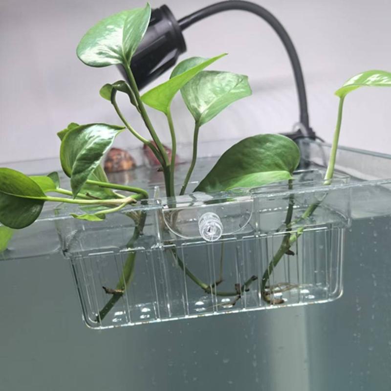 Panier hydroponique pour plant - Fish Aquarium Home avis et prix