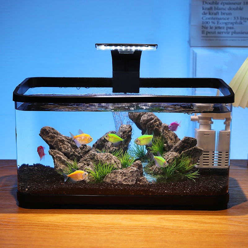 Aquarium de bureau avec filtre - Fish Aquarium Home avis et prix