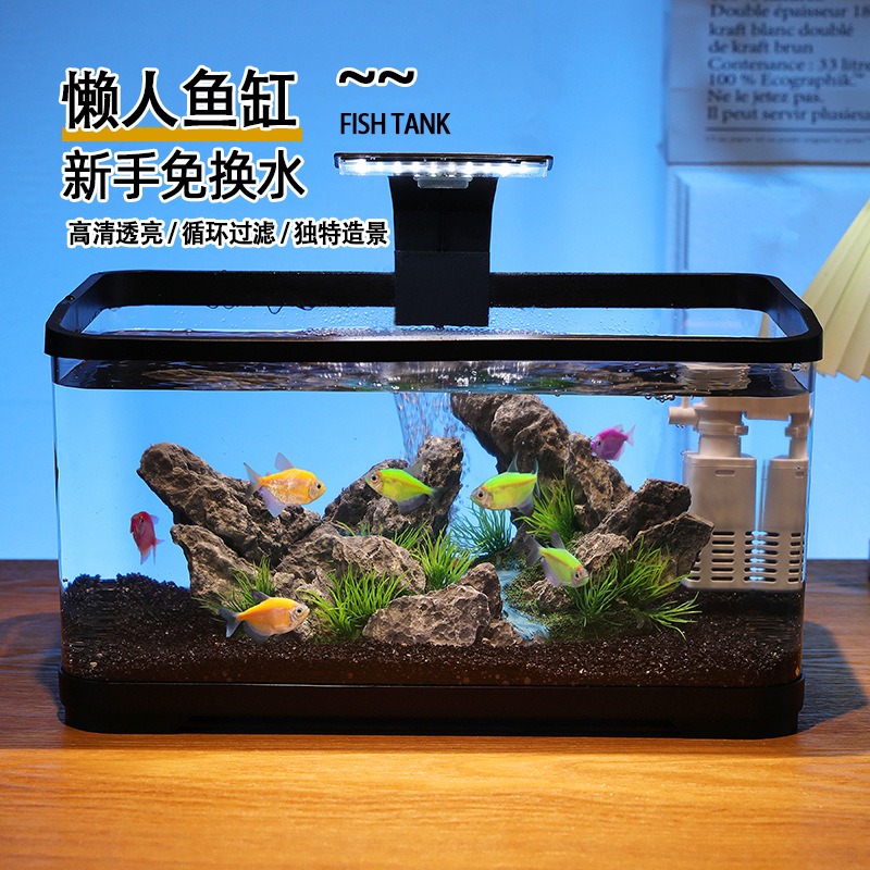 Aquarium de bureau avec filtre - Fish Aquarium Home avis et prix