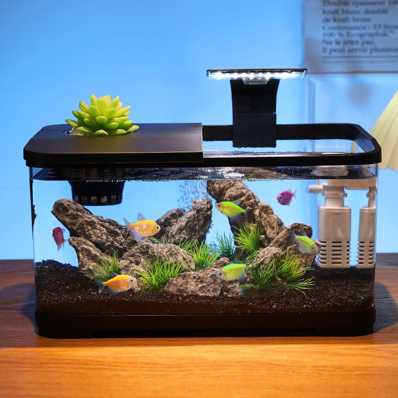 Aquarium de bureau avec filtre - Fish Aquarium Home avis et prix