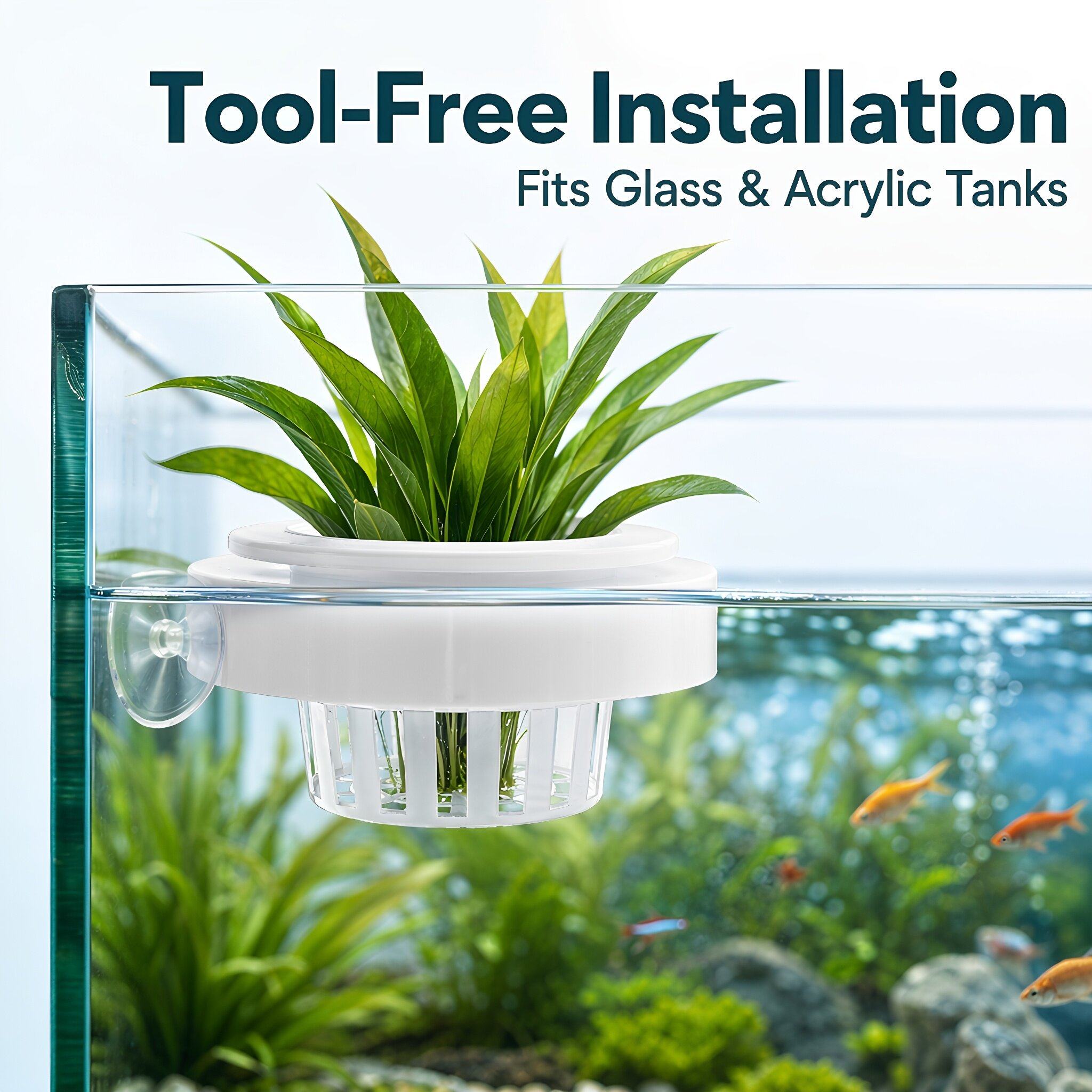 4 paniers flottants pour plant - Aquarium Plants avis et prix