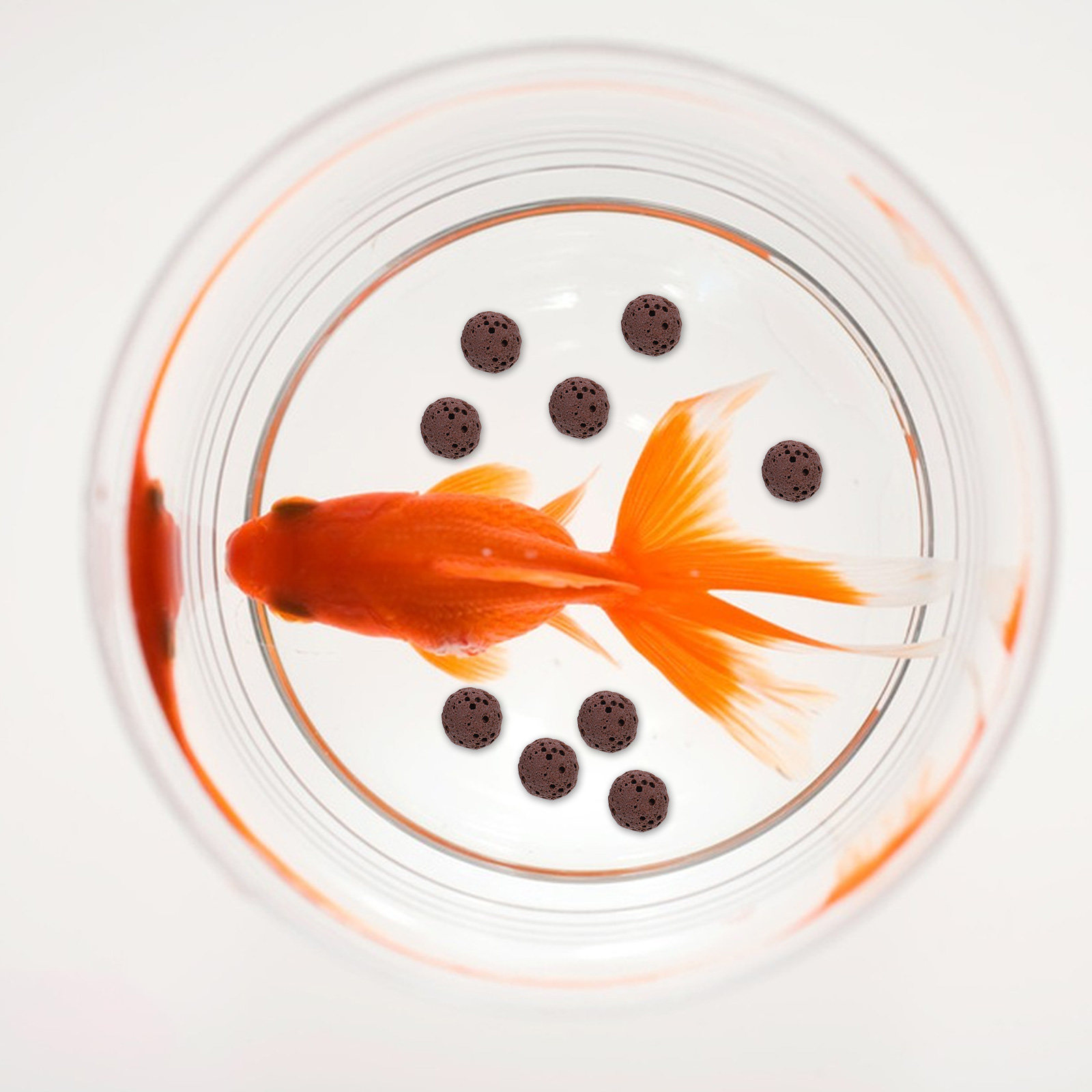 Gravier d'aquarium en pierre v - Fish Tank Gravel avis et prix