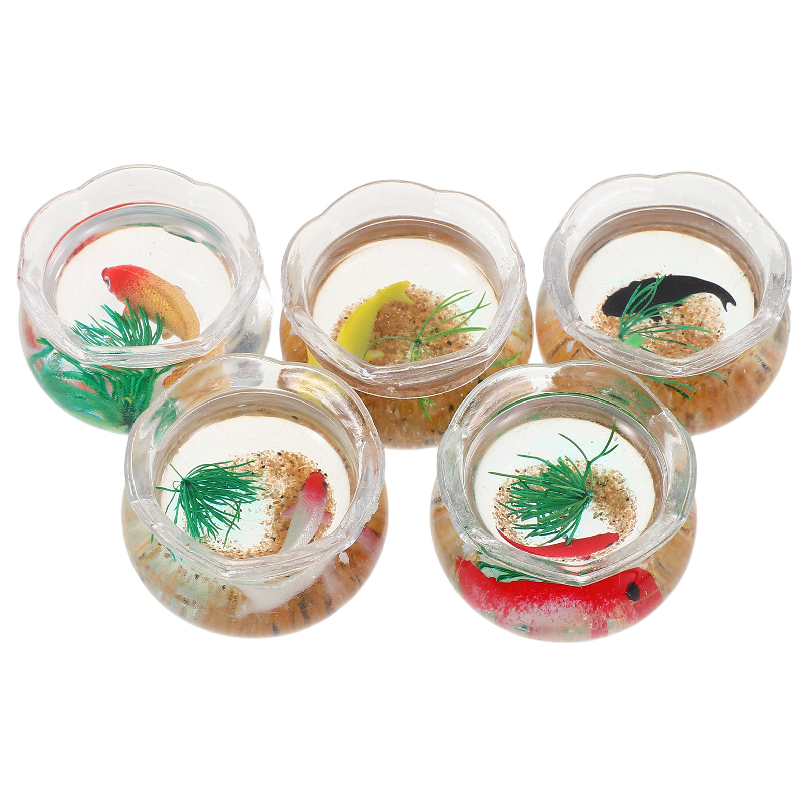 5 aquariums miniatures pour po - Aquarium Plants avis et prix
