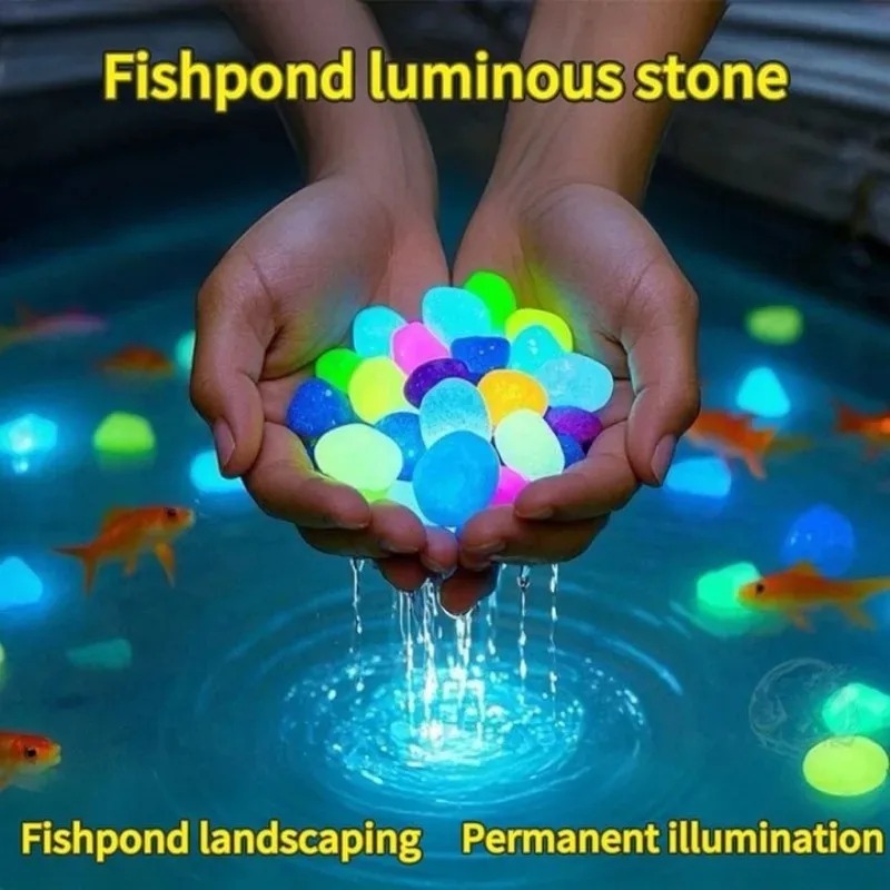 100-1000 pièces pierre lumineu - Fish Aquarium Home avis et prix